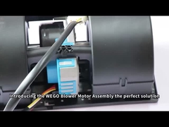 Blow motor K3G097-BK34-65