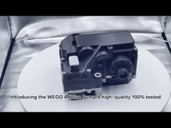 Urea Dozlama AdBlue Pompası Euro için